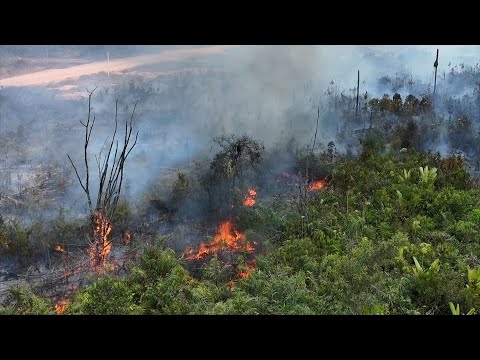 AERIAL SHOTS of fires in the Brazilian Amazon | AFP