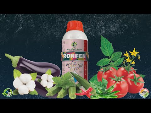 The Wait Is Finally Over!