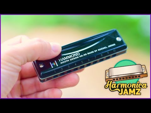 Suzuki Hammond Harmonica Review: Black & Beautiful