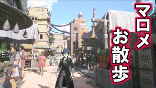 アインクラッド散歩部「マロメ」【Echoes of Aincrad】