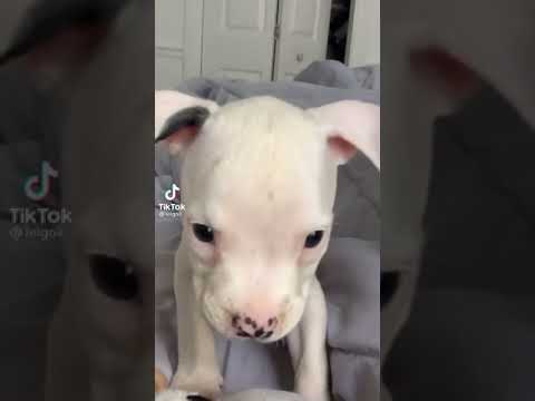 YouTube #SHorts v.153 | DON'T FORGET TO SUBSCRIBE!😉