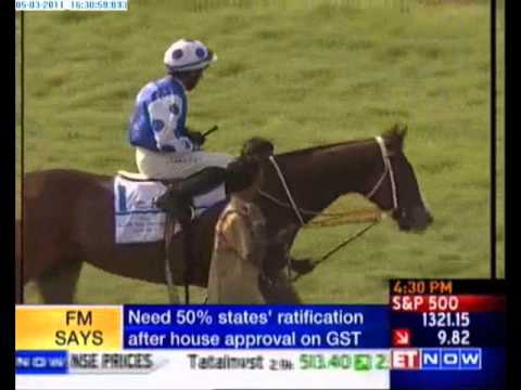 attila wins oasis star sprinters cup