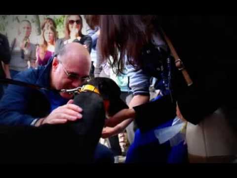 GACI - 30 Retired Greyhound in Italy - October 26, 2013