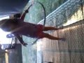 Justine Summer Having Fun