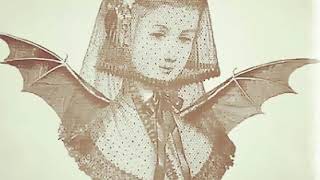 Bauhaus Paranoia Paranoia Fragment