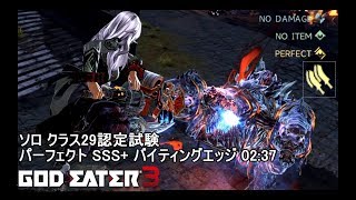 【GE3】ソロクラス29認定試験 パーフェクト SSS+ バイティングエッジ ホールドなし