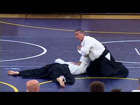 2006 Miyamoto Tsuruzo Shihan 宮本鶴蔵 Birankai Summer Camp