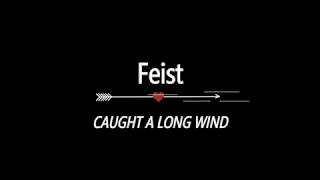 Feist - Caught a Long Wind (Lyrics)