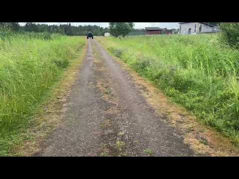 Videoklipp