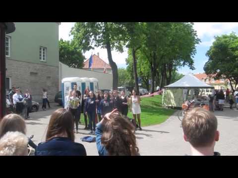 Festival Street Musician's day 17 may 2014 #ErasmusVGTU #Vilnius #Lithuania