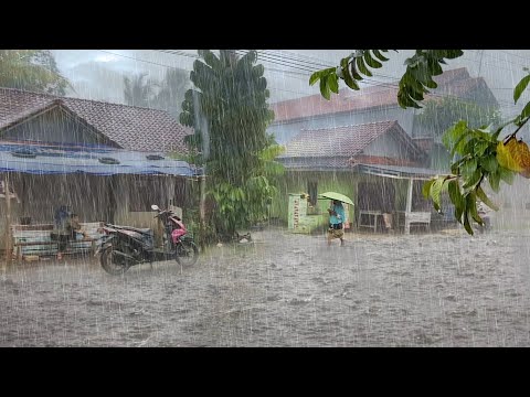 Heavy Rain Falls Almost Every Day in My Village  Rain Walk  ASMR   Rain Sounds For Sound Sleep