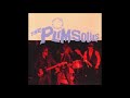 THE PLIMSOULS One night in America Live Cleveland 1981 Peter Case