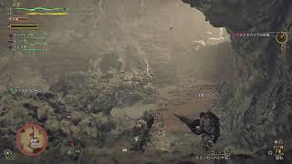 モンスターハンターワイルズ