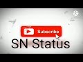 Hum Pathan Hai Saeeb Badmashi SN Status