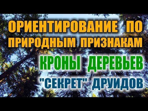 СПОСОБЫ ОРИЕНТИРОВАНИЯ. ОРИЕНТИРОВАНИЕ ПО КРОНЕ ДЕРЕВА. Как определить север.