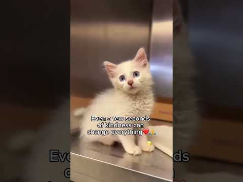 Every donation mattersDonation link in the bio#florida #ohio