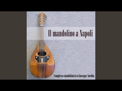 Celebre mazurka variata