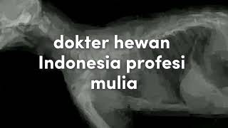Download lagu MARS DOKTER HEWAN INDONESIA (ROCK Ver.) mp3