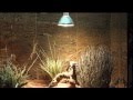 Hobby Terraristik Lampe pour terrarium UV-Reptile vital, E27, 80 W