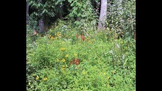 Kentucky Rain Gardens Project in March 2022