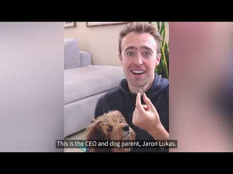 YumWoof Perfect Kibble Video Preview