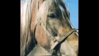 Terveet Kädet - Gates Of Hell