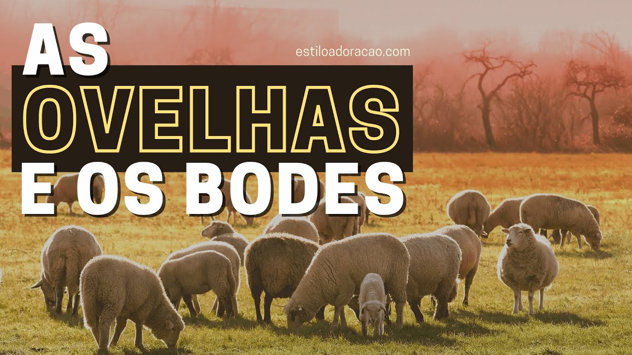 SIGNIFICADO DA PARÁBOLA DA SEPARAÇÃO DAS OVELHAS E DOS BODES