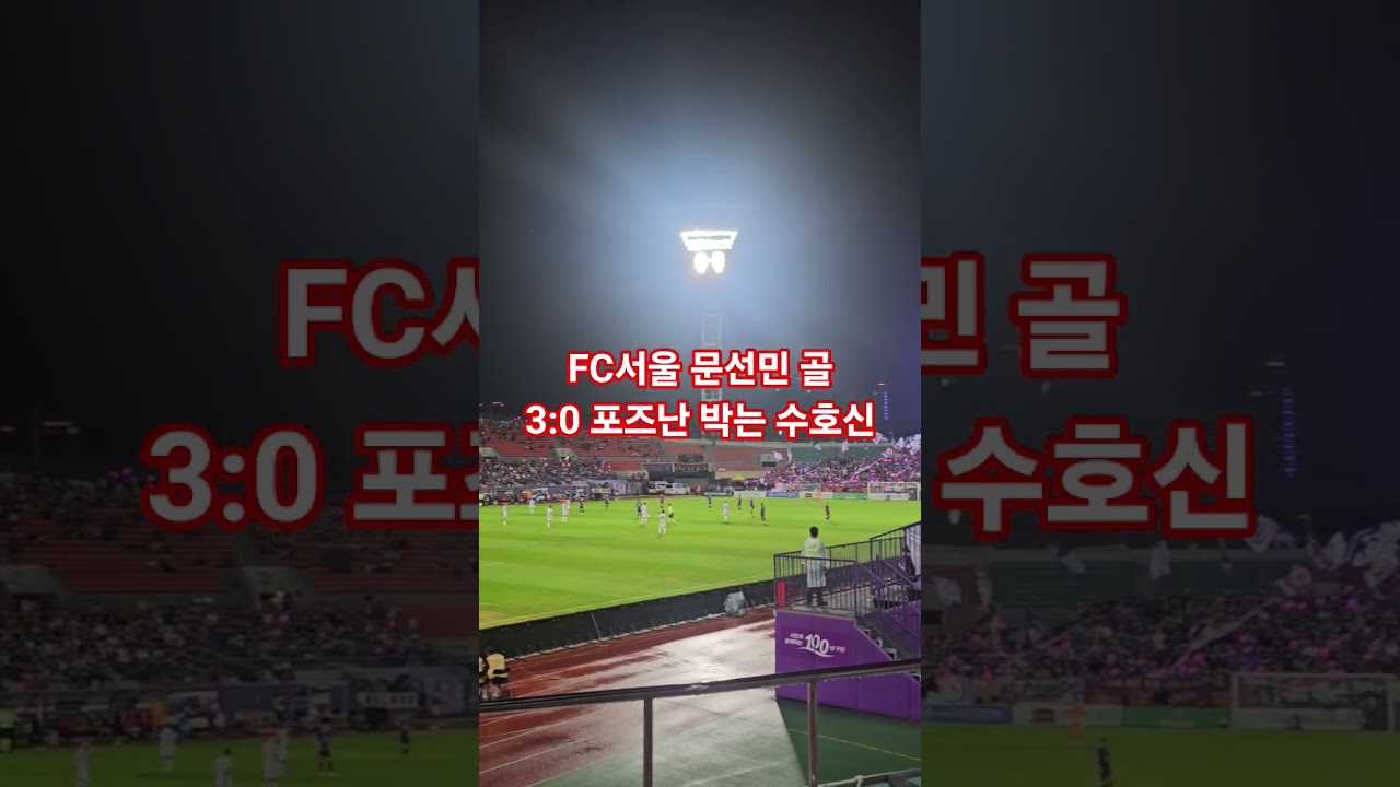 FC서울 안양전 포즈난 문선민골 #fc서울 #축구  #football #케이리그 #k리그