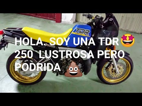 MECÁNICA BÁSICA |1ª PARTE | PRESENTACIÓN YAMAHA TDR 250. ARRANCAR MOTO PARADA AÑOS