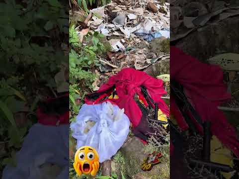 CRIME AMBIENTAL NA CACHOEIRA DO MORTE EM JUQUITIBA