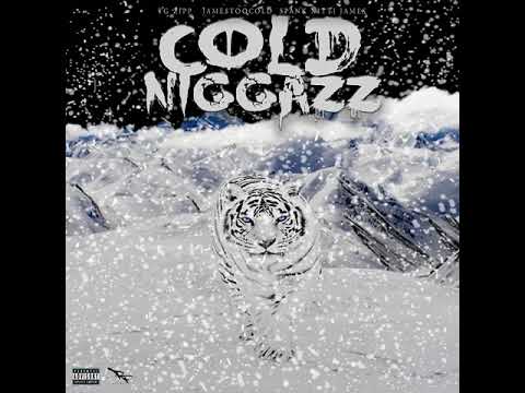 COLD NIGGAZZ   TG ZIPP ft JamesTooCold & Spank Nitti James