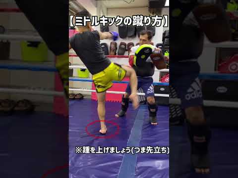 【格闘技】初心者向けミドルキックの蹴り方！(入門編) #shorts