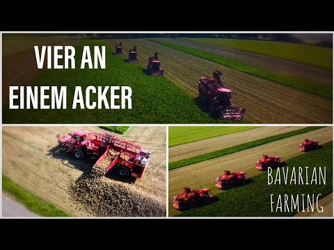 Ersteinsatz von  4 Holmer T4-40 Rübenvollerntern der  ZRG Mering |Bavarian Farming Agrar Video