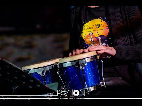 Pavilion muzical 2020 Episodul #5 - Percuția și curiozițățile sale ritmate