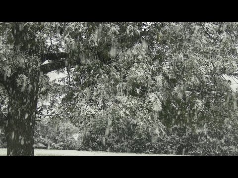 Wellington November Snow