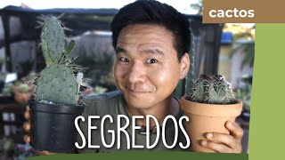 Miniatura do vídeo