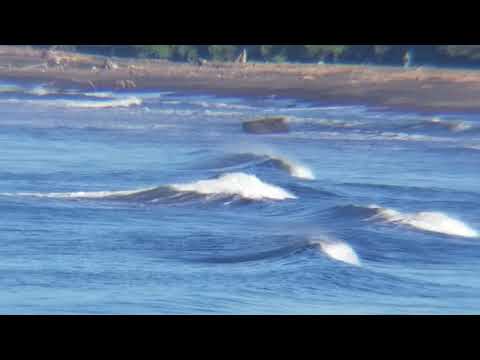 Playas de El salvador