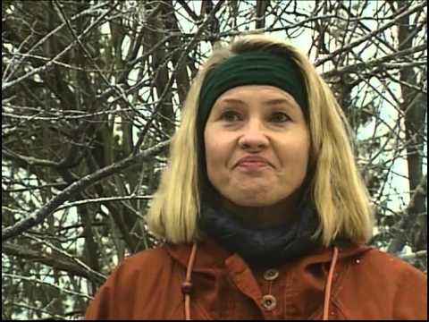 Sunes Jul- Avsnitt 15 - Pulkapappa - Julkalender