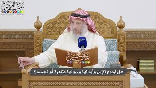 853 - هل لحوم الإبل وأبوالها وأرواثها طاهرة أو نجسة؟ - عثمان الخميس
