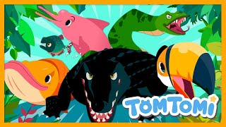 Download lagu Amazon Animals Song🦜🐬🐊 | Unusual Animals Living in the Amazon | Kids Song | TOMTOMI mp3 Download lagu Amazon Animals Song🦜🐬🐊 | Unusual Animals Living in the Amazon | Kids Song | TOMTOMI mp3