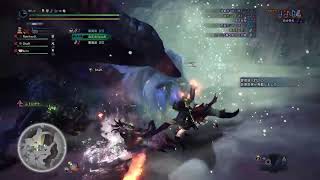 モンハン笛使って遊ぶ