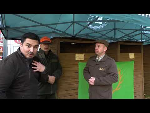 Darz Bór Stażysta - 21 Podstawy wabienia jeleni