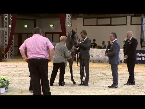 3rd Place N.54 ETERNIS - Wels 2015 - Int. Jr Colts Championship (Class 22)