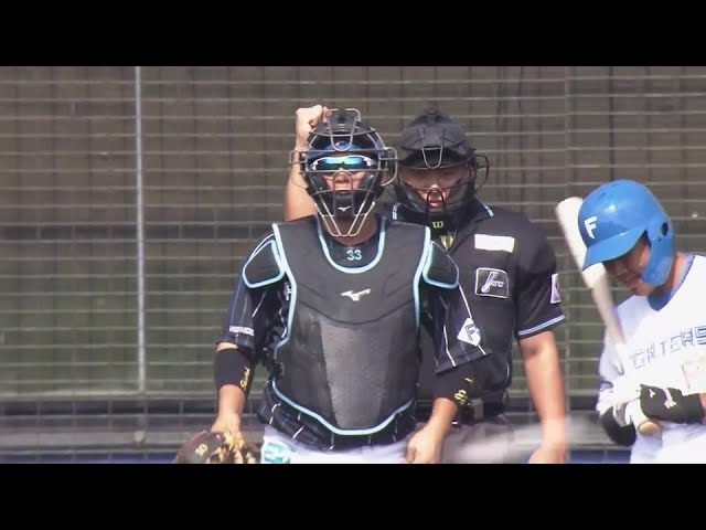 【春季キャンプ紅白戦】韋駄天を仕留める!! ルーキー・進藤勇也が強肩見せつけ盗塁阻止!!  2024年2月10日 北海道日本ハムファイターズ