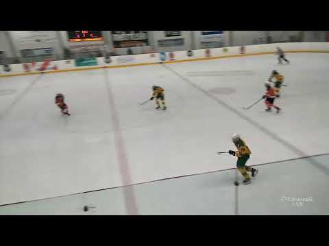 HPK C2 AAA 20200111 HPK - Ilves