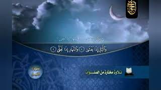 تلاوات نادرة للشيخ الحويني image