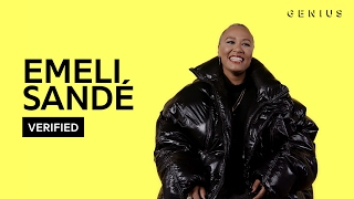 Emeli Sandé &quot;Garden&quot; Official Lyrics &amp; Meaning | Verified