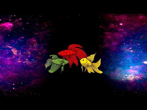 Black Alien & Speed Freaks - Tudo Que Tu Quer