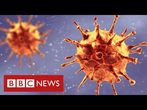 南非變種的緊急測試擴大了，因為對疫苗抗藥性的擔憂越來越大 - BBC News (Emergency testing for South Africa variant widened as fears  grow over vaccine resistance - BBC News)