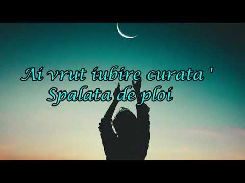 Mocreanschi feat  SeVer   Fara tine Lyrics Video